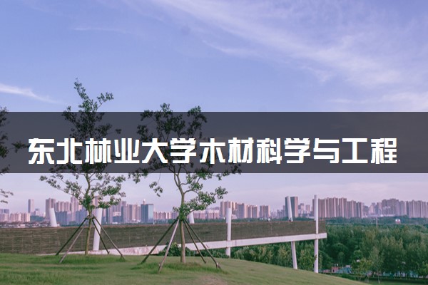 东北林业大学木材科学与工程专业怎么样 录取分数线多少
