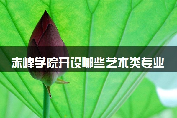 赤峰学院开设哪些艺术类专业 什么专业前景好
