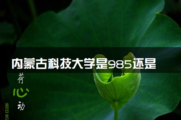 内蒙古科技大学是985还是211 含金量怎么样