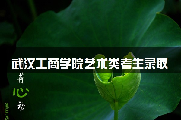 武汉工商学院艺术类考生录取规则是怎样的 有哪些要求