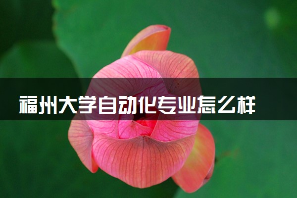 福州大学自动化专业怎么样 录取分数线多少