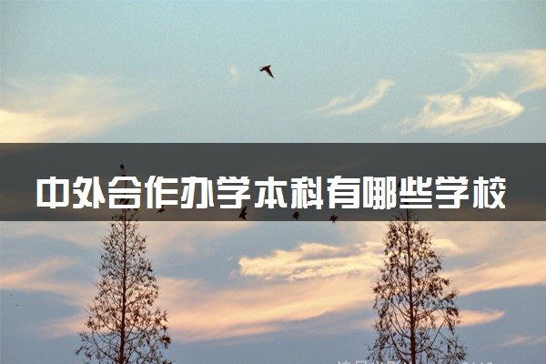 中外合作办学本科有哪些学校 是否要提前申请