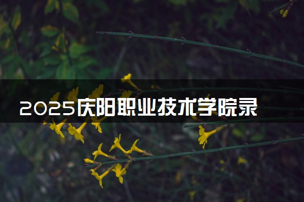 2025庆阳职业技术学院录取分数线是多少 各省最低分数线汇总