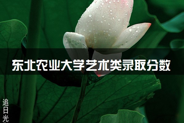 东北农业大学艺术类录取分数线是多少 各省分数整理