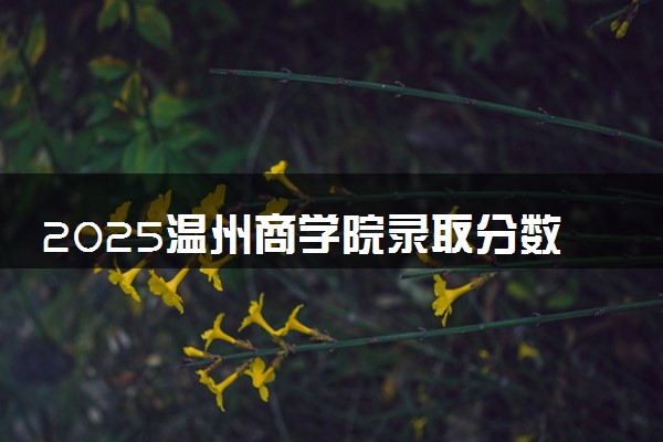 2025温州商学院录取分数线是多少 各省最低分数线汇总