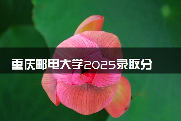重庆邮电大学2025录取分数线整理 最低多少分可以考上