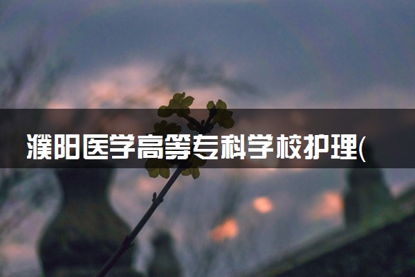 濮阳医学高等专科学校护理（国际护理方向）专业怎么样 录取分数线多少