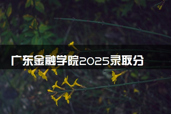 广东金融学院2025录取分数线整理 最低多少分可以考上