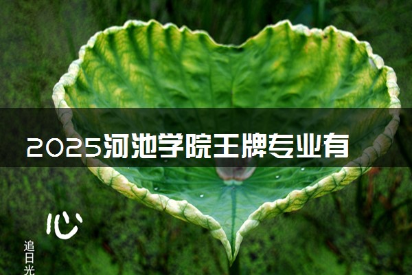 2025河池学院王牌专业有哪些 最好的专业是什么