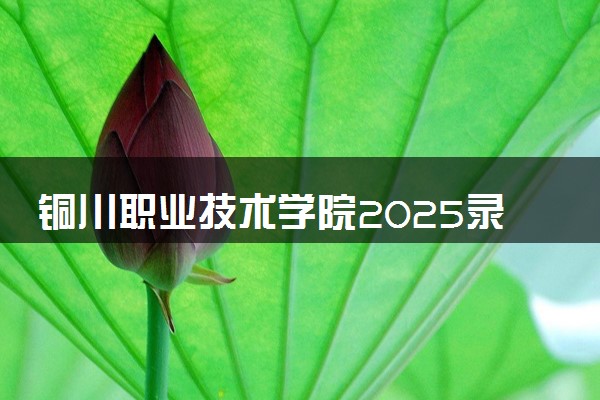 铜川职业技术学院2025录取分数线整理 最低多少分可以考上