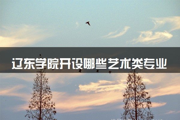 辽东学院开设哪些艺术类专业 什么专业前景好