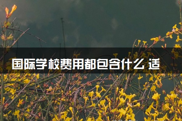 国际学校费用都包含什么 适合哪些人去读