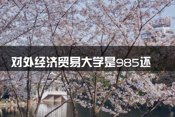 对外经济贸易大学是985还是211 含金量怎么样