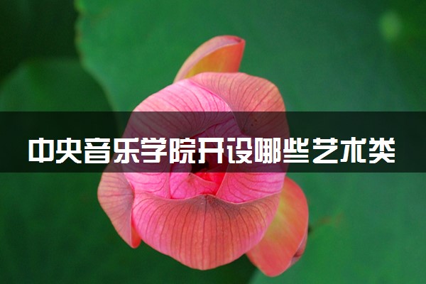 中央音乐学院开设哪些艺术类专业 什么专业前景好