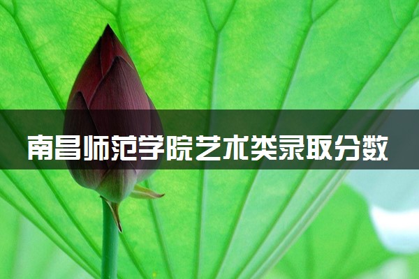 南昌师范学院艺术类录取分数线是多少 各省分数整理