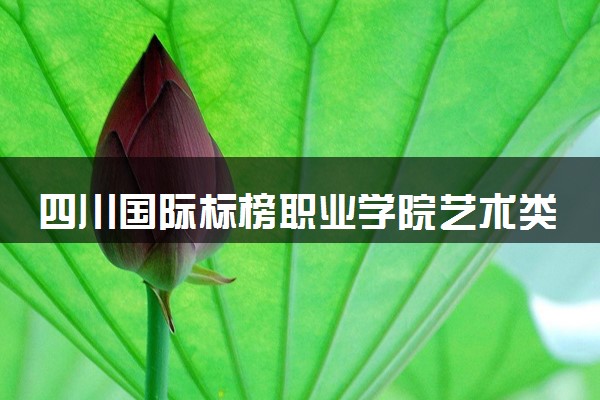 四川国际标榜职业学院艺术类考生录取规则是怎样的 有哪些要求