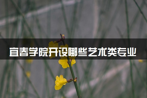 宜春学院开设哪些艺术类专业 什么专业前景好