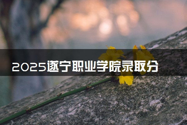 2025遂宁职业学院录取分数线是多少 各省最低分数线汇总