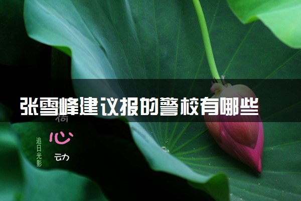 张雪峰建议报的警校有哪些 比较好的院校推荐
