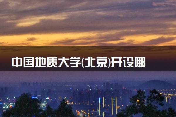 中国地质大学(北京)开设哪些艺术类专业 什么专业前景好
