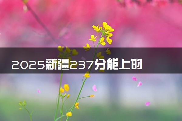 2025新疆237分能上的大学有哪些 可以报考院校名单