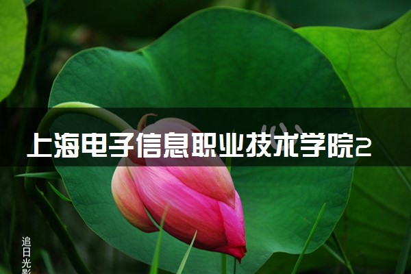 上海电子信息职业技术学院2025录取分数线整理 最低多少分可以考上