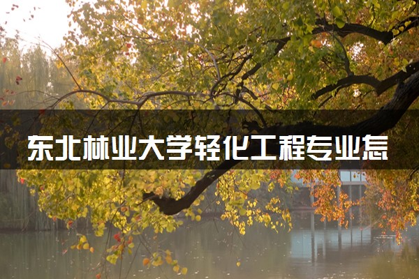 东北林业大学轻化工程专业怎么样 录取分数线多少