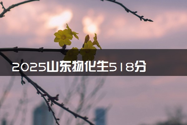 2025山东物化生518分左右能上什么大学 可以报考的院校名单