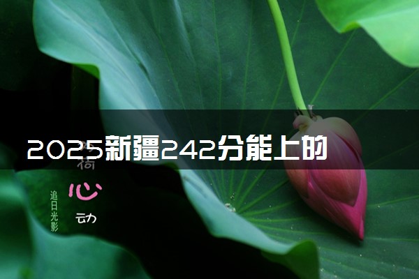 2025新疆242分能上的大学有哪些 可以报考院校名单
