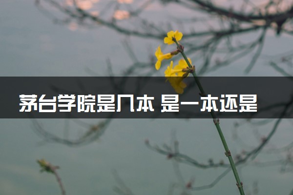 茅台学院是几本 是一本还是二本大学