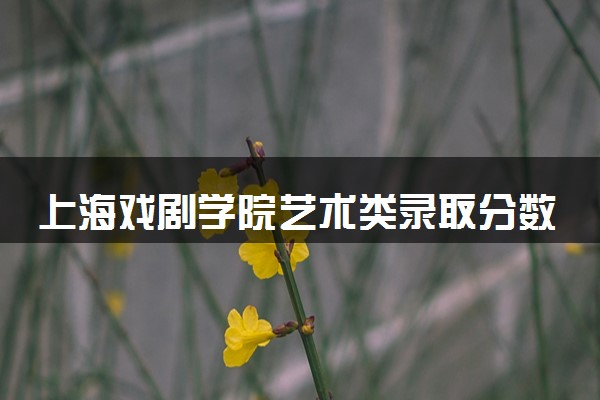 上海戏剧学院艺术类录取分数线是多少 各省分数整理