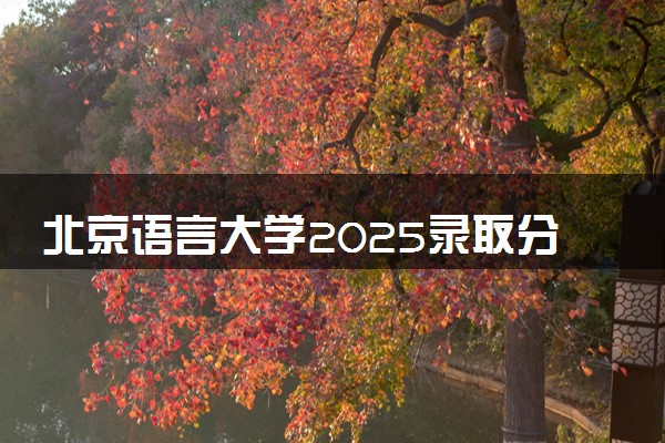北京语言大学2025录取分数线整理 最低多少分可以考上