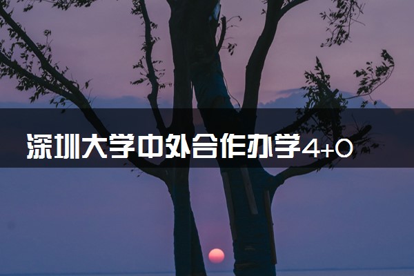 深圳大学中外合作办学4+0咋样 认可度高吗