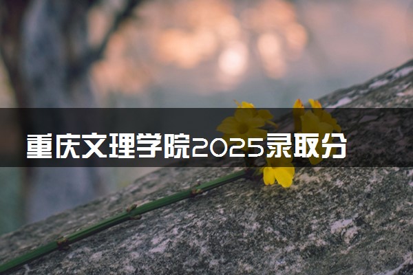 重庆文理学院2025录取分数线整理 最低多少分可以考上