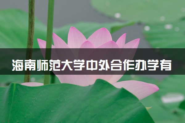 海南师范大学中外合作办学有哪些专业可选 值得报吗