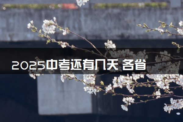2025中考还有几天 各省市考试时间安排