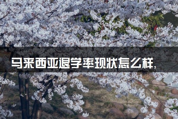 马来西亚退学率现状怎么样，为什么这么高？
