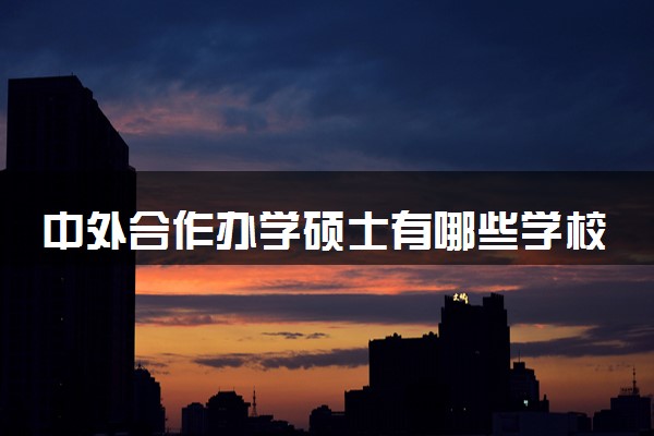 中外合作办学硕士有哪些学校 哪个比较容易申请  ‌