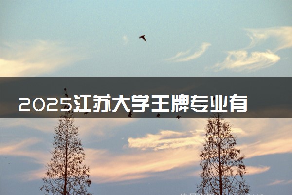 2025江苏大学王牌专业有哪些 最好的专业是什么