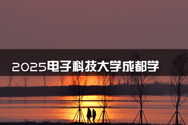 2025电子科技大学成都学院录取分数线是多少 各省最低分数线汇总