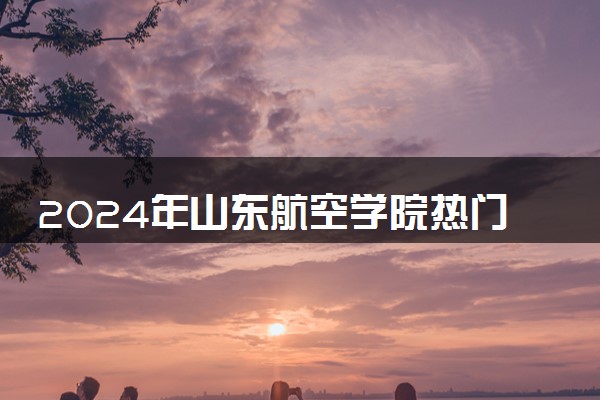 2024年山东航空学院热门专业全国排名 有哪些专业比较好