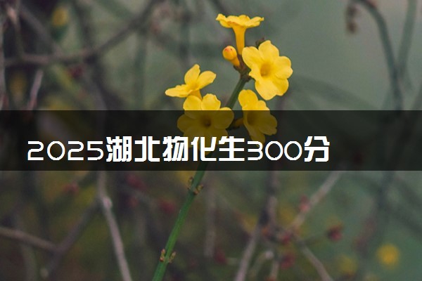2025湖北物化生300分左右能上什么大学 可以报考的院校名单