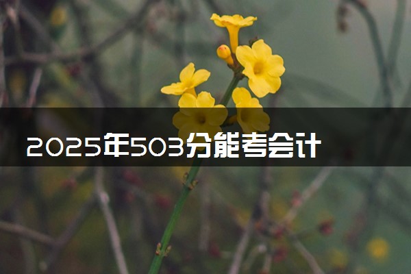 2025年503分能考会计学专业吗 503分会计学专业大学推荐