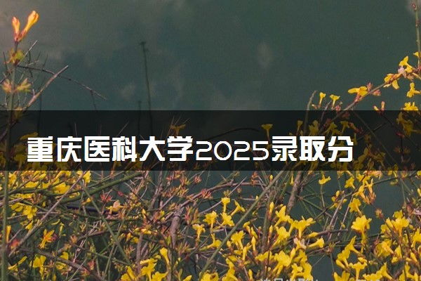 重庆医科大学2025录取分数线整理 最低多少分可以考上