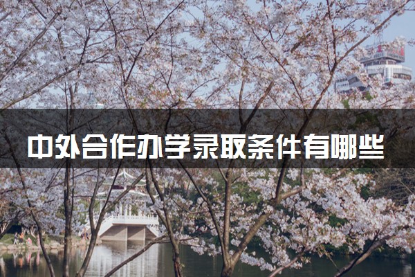 中外合作办学录取条件有哪些 录取批次是什么