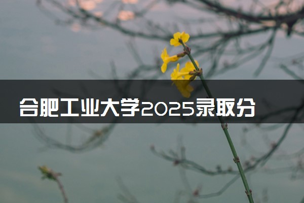 合肥工业大学2025录取分数线整理 最低多少分可以考上