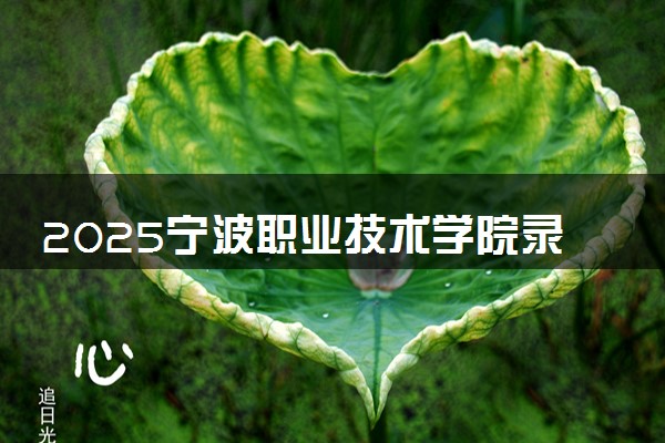 2025宁波职业技术学院录取分数线是多少 各省最低分数线汇总