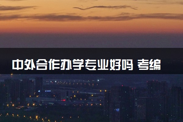 中外合作办学专业好吗 考编制有优势吗