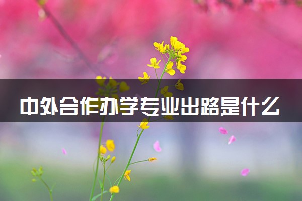中外合作办学专业出路是什么 能否考公考编