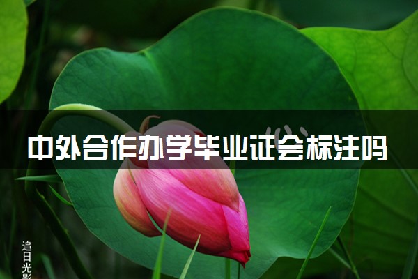 中外合作办学毕业证会标注吗 找工作有影响吗
